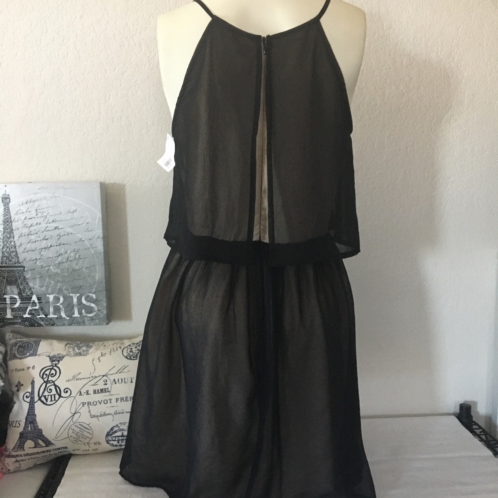 The Impecable Pig | Black Chiffon Dress, Medium - Picture 4 of 16